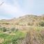 land for sale agia varvara paphos 7934221 thumbnail 11274547