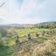 land for sale agia varvara paphos 7934221 thumbnail 11274550