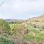 land for sale agia varvara paphos 7934221 thumbnail 11274551