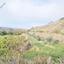 land for sale agia varvara paphos 7934221 thumbnail 11274552