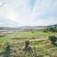 land for sale agia varvara paphos 7934221 thumbnail 11274554