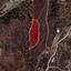 land for sale kapedes nicosia 1240221 thumbnail 7337541