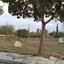 land for sale pallouriotissa nicosia 1932221 thumbnail 14473028