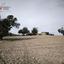 plot for sale agios theodoros larnacas larnaca 8495221 thumbnail 16138177