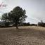 plot for sale agios theodoros larnacas larnaca 8495221 thumbnail 16138178