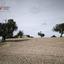 plot for sale agios theodoros larnacas larnaca 8495221 thumbnail 16138179