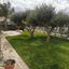 3 bedroom detached house for rent kapsalos limassol 8225321 thumbnail 14919100