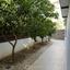 3 bedroom ground floor apartment for sale nicosia walled old city nicosia 8360321 thumbnail 14589736