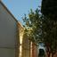 5 bedroom detached house for sale aphrodite hills paphos 8785321 thumbnail 16649125