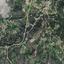 land for sale kellaki limassol 8968321 thumbnail 17869679