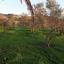 plot for sale skarinou larnaca 8633321 thumbnail 15925357