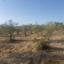 plot for sale skarinou larnaca 8633321 thumbnail 15925362