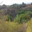 1338 SQM Land for sale in Argaka, Paphos thumbnail 15974293