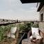 2 bedroom apartment for sale agia fyla limassol 1282421 thumbnail 16042647