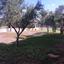 5 bedroom detached house for sale pano lakatamia nicosia 1152421 thumbnail 5153847
