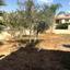 5 bedroom detached house for sale pano lakatamia nicosia 1152421 thumbnail 5153854