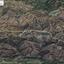 land for sale ora larnaca 1590421 thumbnail 6059798