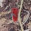 land for sale psematismenos larnaca 8032421 thumbnail 14903065