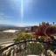 5 bedroom detached house for sale tala paphos 8765521 thumbnail 16563126