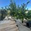 5 bedroom detached house for sale tala paphos 8765521 thumbnail 16563133