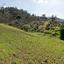land for sale fikardou nicosia 8620521 thumbnail 15823791