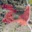land for sale fikardou nicosia 8620521 thumbnail 15823792