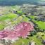 land for sale agia marina xyliatou nicosia 8628621 thumbnail 15863183