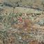 land for sale kokkinotrimithia nicosia 1868621 thumbnail 6894021