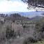 land for sale prodromos limassol 1180621 thumbnail 15608497