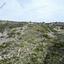 land for sale vavla larnaca 8417621 thumbnail 14944188