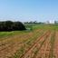 land for sale agia triada famagusta 8833721 thumbnail 17009792