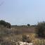 land for sale agios theodoros larnacas larnaca 8726721 thumbnail 16333525