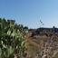 land for sale orounta nicosia 1016721 thumbnail 3399767