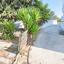3 bedroom detached house for sale tsada paphos 7738821 thumbnail 13675973
