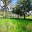 land for sale asgata limassol 1699821 thumbnail 5675000
