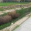 plot for sale alethriko larnaca 8117821 thumbnail 16186285