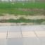 plot for sale alethriko larnaca 8117821 thumbnail 16186295