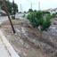 plot for sale pissouri limassol 8194821 thumbnail 13649866