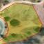 4794 SQM Plot for sale in Mitsero, Nicosia thumbnail 16176755