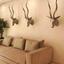3 bedroom ground floor apartment for sale potamos germasogeias limassol 1727921 thumbnail 5498704