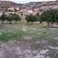 land for sale pissouri limassol 1669921 thumbnail 5855468