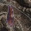 land for sale pissouri limassol 1669921 thumbnail 5855478