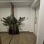 2 bedroom apartment for rent kaimakli nicosia 8884031 thumbnail 17289215
