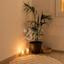 2 bedroom apartment off market geroskipou paphos 7556031 thumbnail 12588810