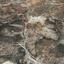 land for sale agios tychonas limassol 1189031 thumbnail 7665572