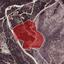 land for sale ora larnaca 1029031 thumbnail 15602122