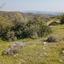 land for sale ora larnaca 1029031 thumbnail 15602124