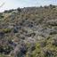 land for sale ora larnaca 1029031 thumbnail 15602125