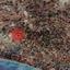 land for sale ormideia larnaca 7625031 thumbnail 9822840