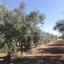 plot for sale klirou nicosia 1151031 thumbnail 5126499